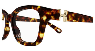 Chloé CH0305O 006 51