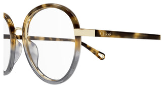 Chloé CH0308O 003 53