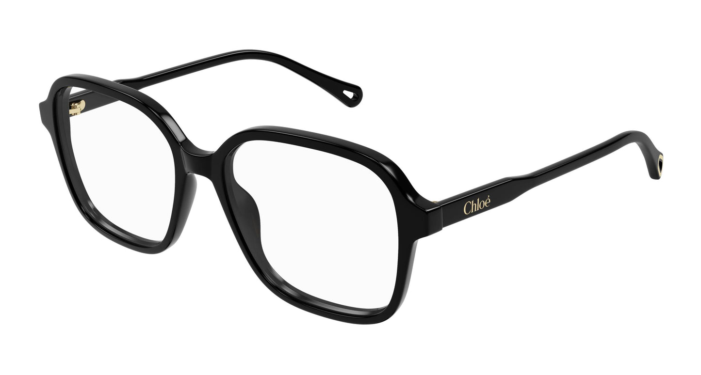 Chloé CH0317OA 001 54