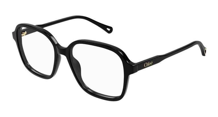 Chloé CH0317OA 001 54