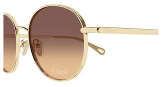 Chloé CH0325S 004 55