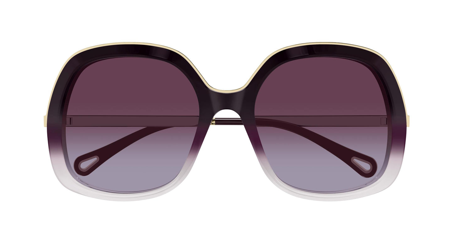 Chloé CH0327S 007 56