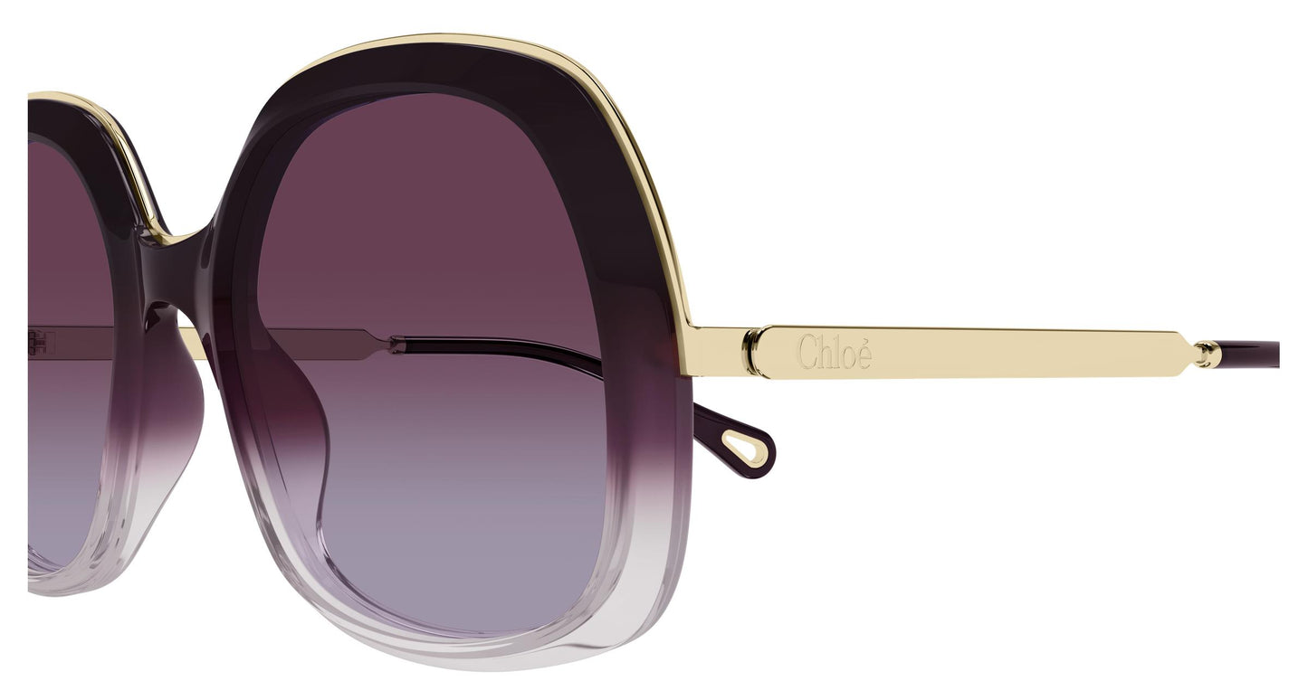 Chloé CH0327S 007 56