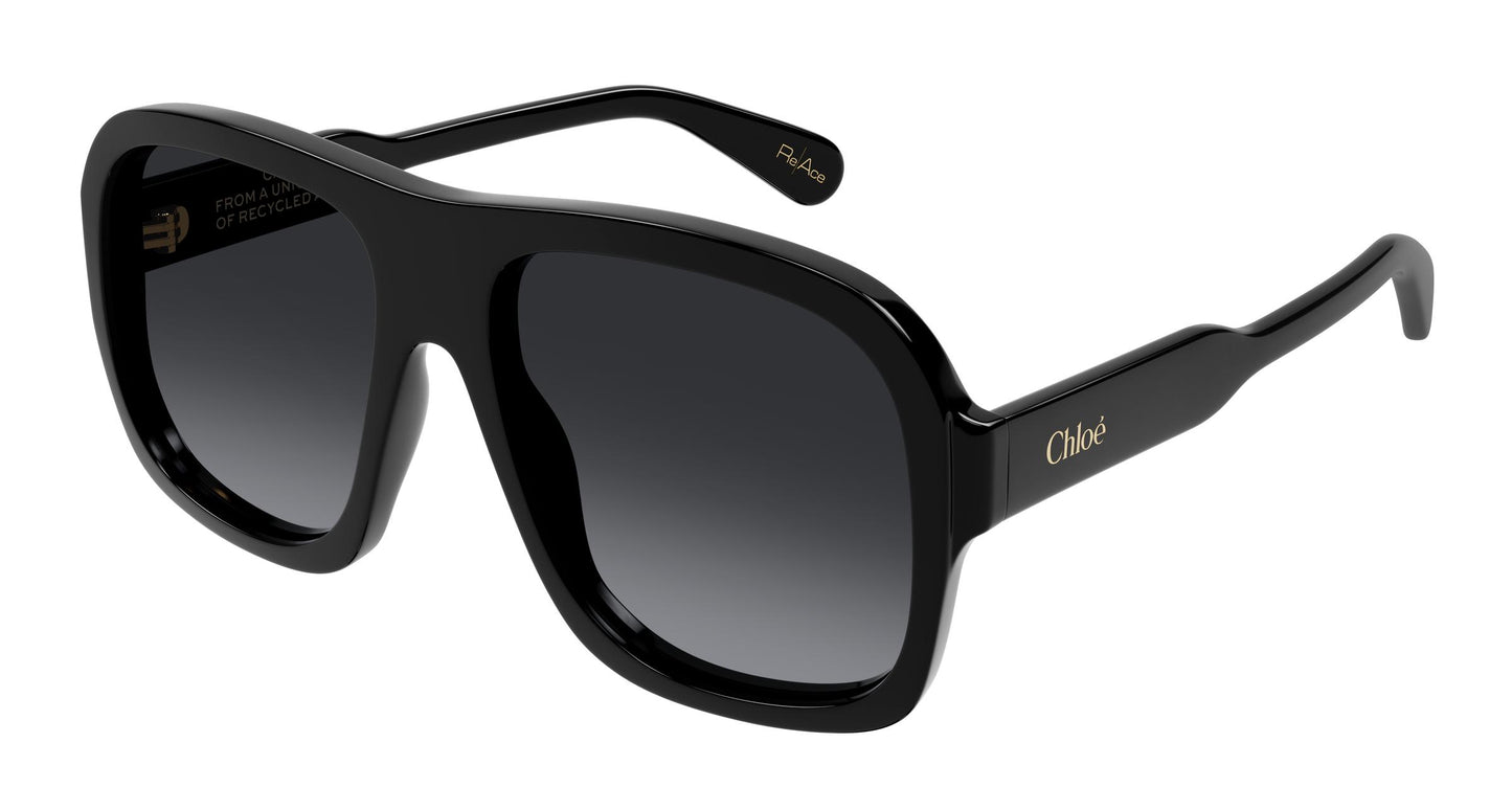 Chloé CH0331S 001 58