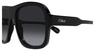 Chloé CH0331S 001 58