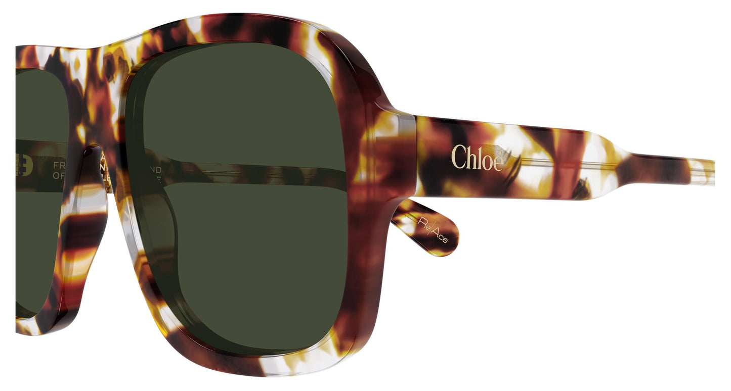 Chloé CH0331S 004 58