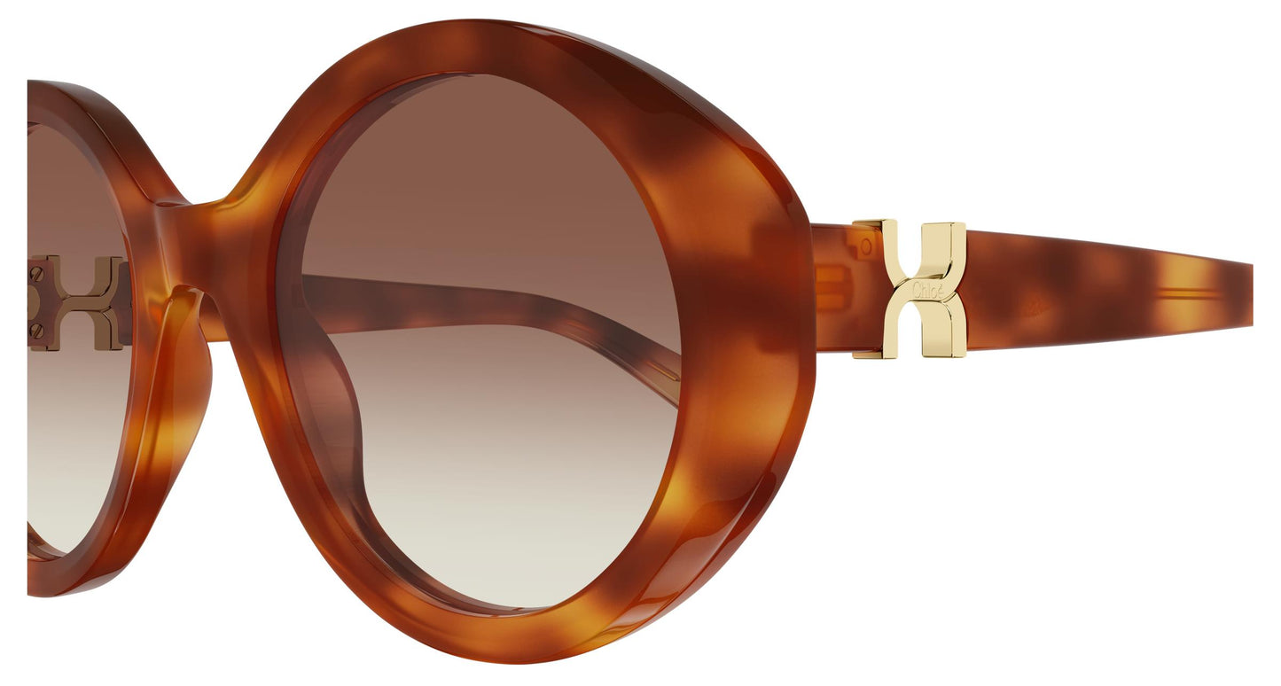 Chloé CH0332S 003 53