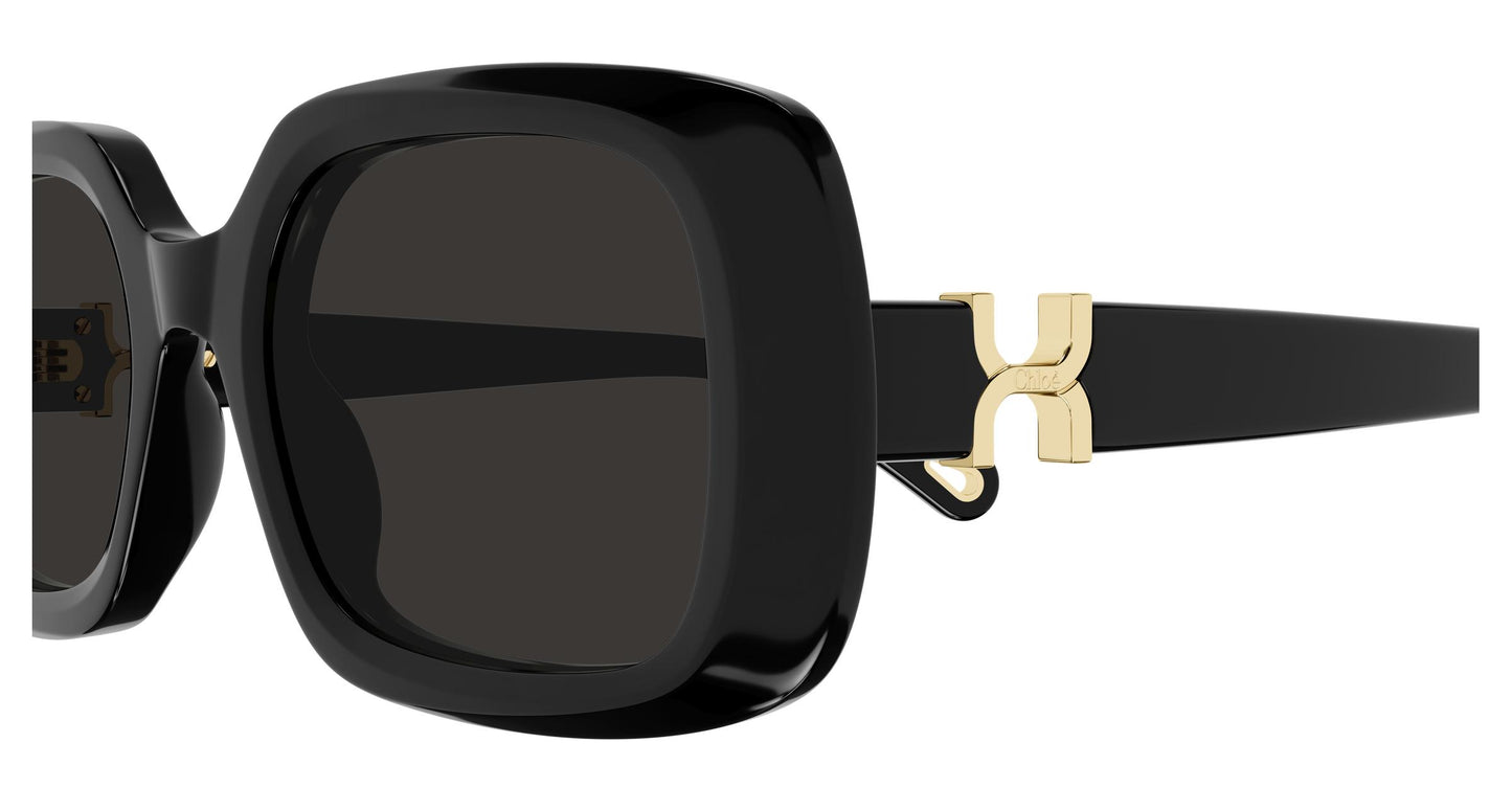 Chloé CH0333S 001 53