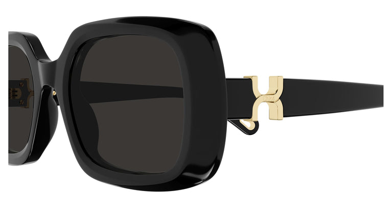 Chloé CH0333S 001 53