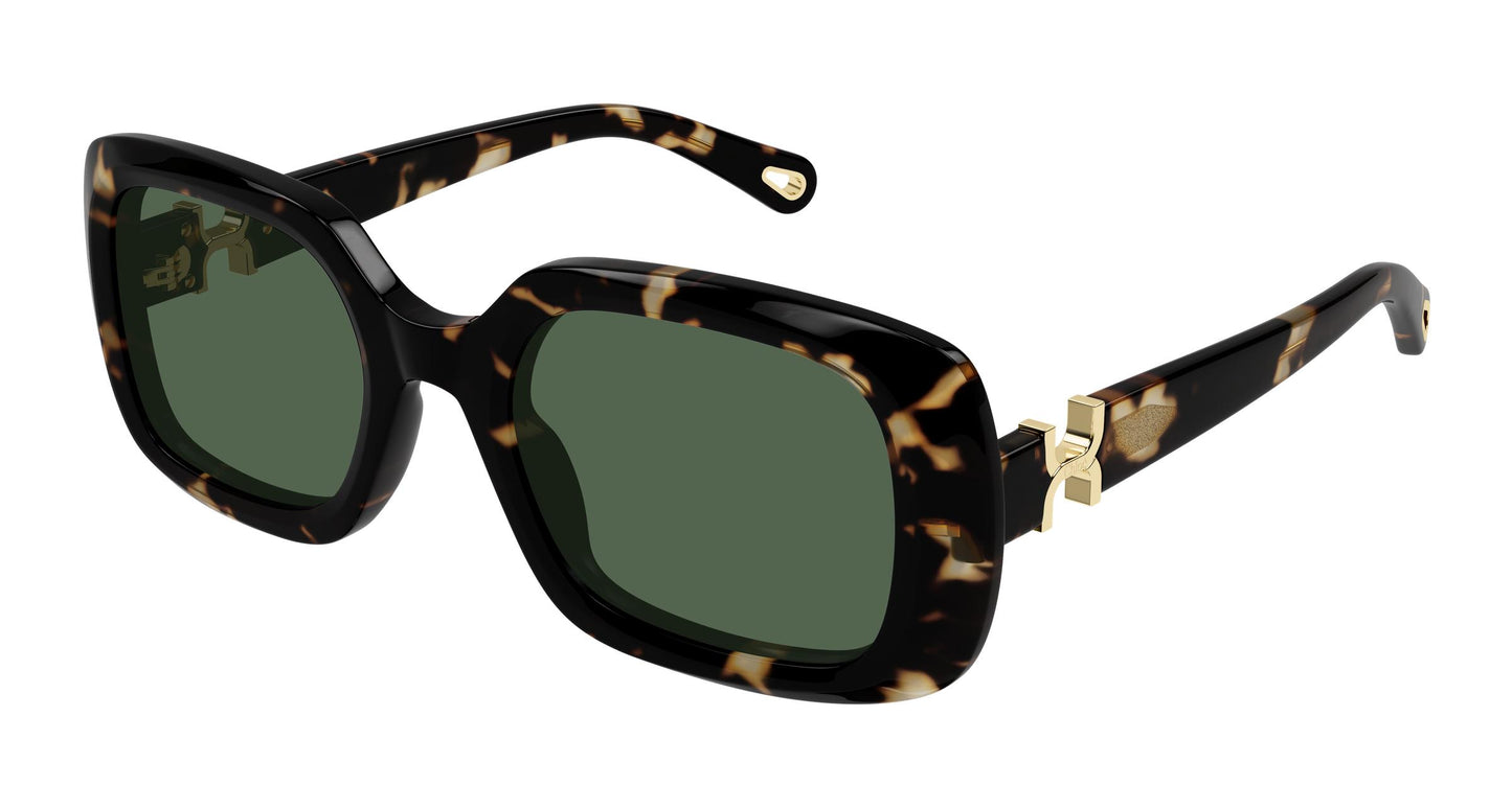 Chloé CH0333S 002 53