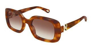 Chloé CH0333S 003 53