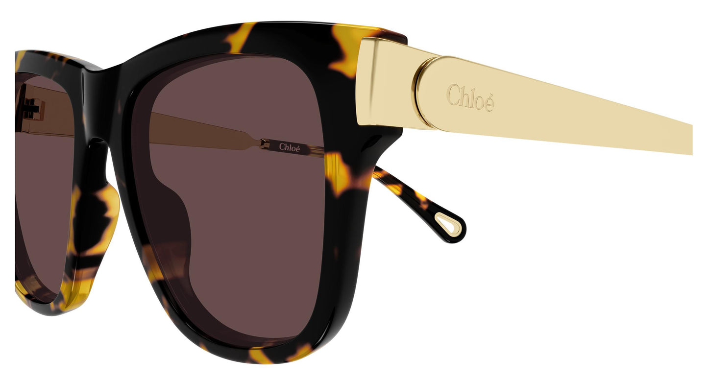 Chloé CH0349S 003 54