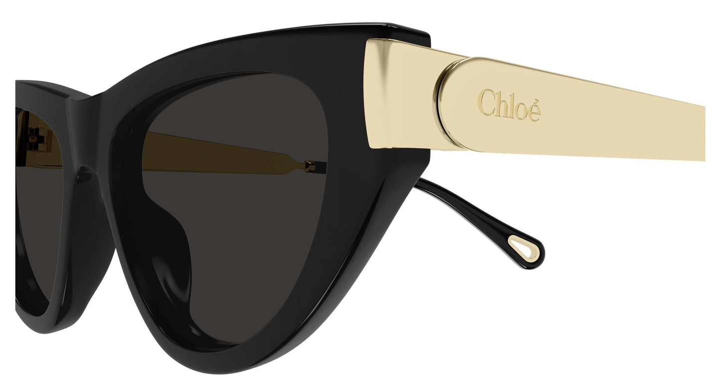 Chloé CH0350S 001 54