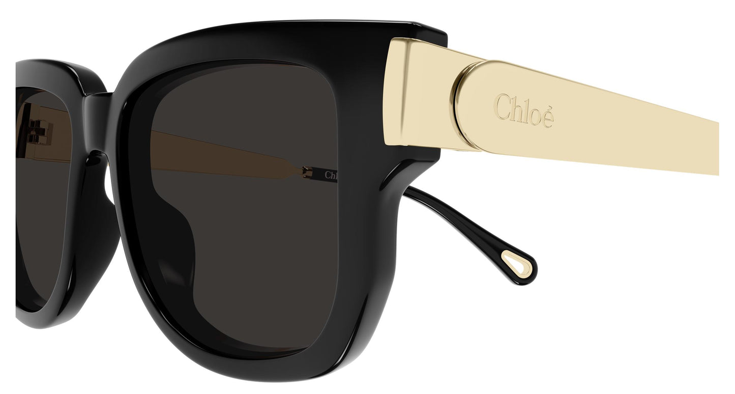 Chloé CH0351S 001 54