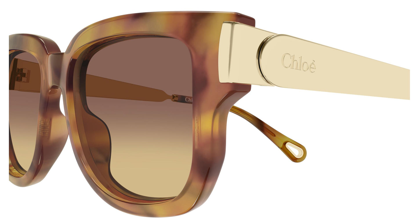 Chloé CH0351S 002 54