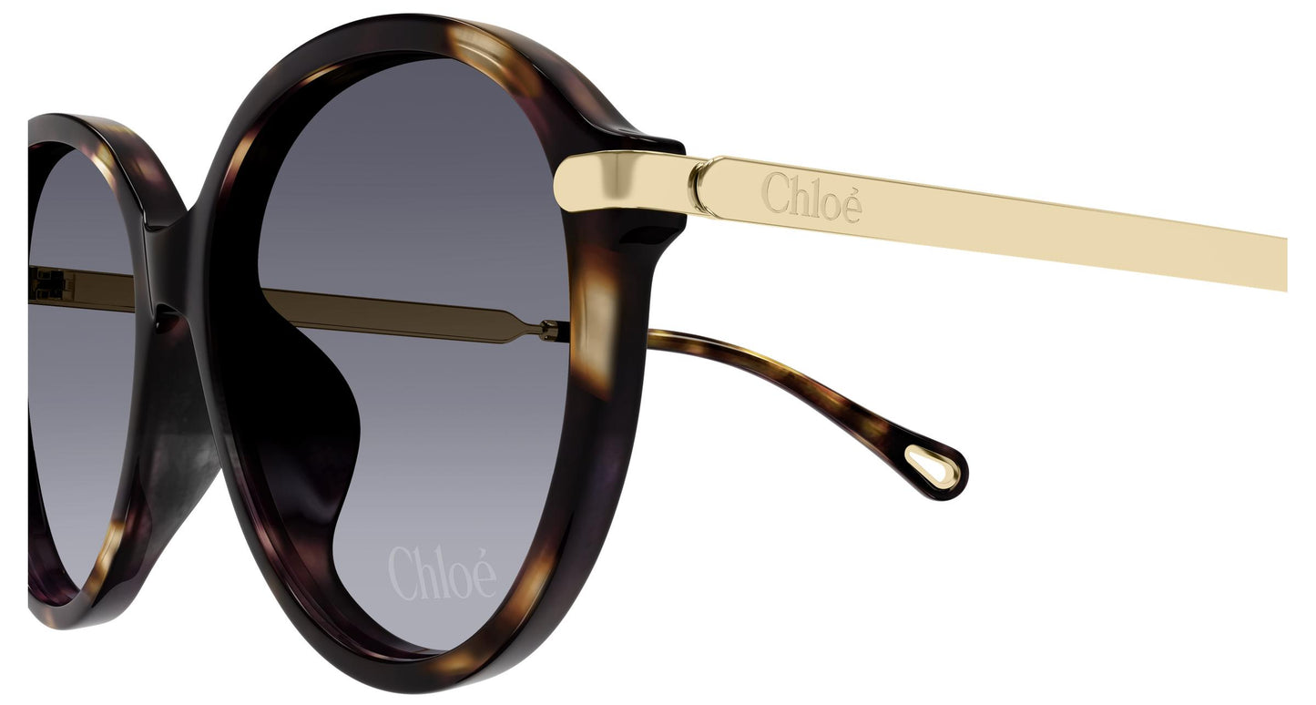 Chloé CH0358SK 002 59
