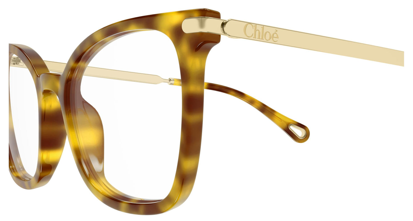Chloé CH0360O 002 53