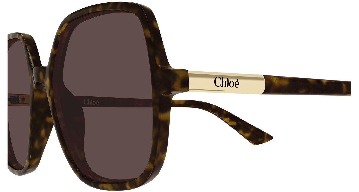 Chloé CH0362S 002 55