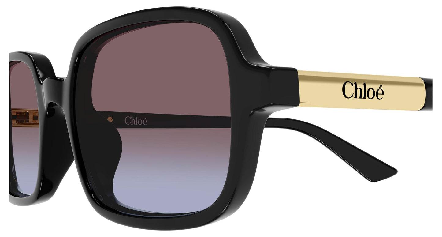 Chloé CH0363S 001 53