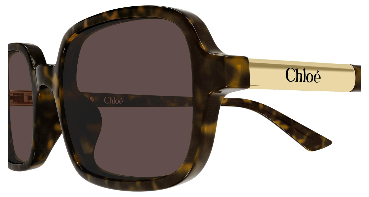 Chloé CH0363S 002 53