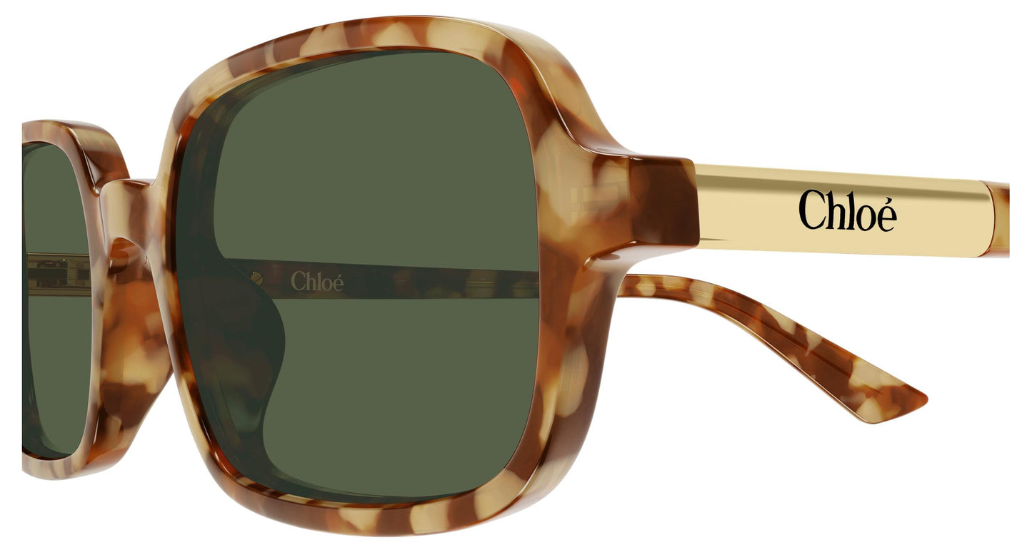 Chloé CH0363S 003 53