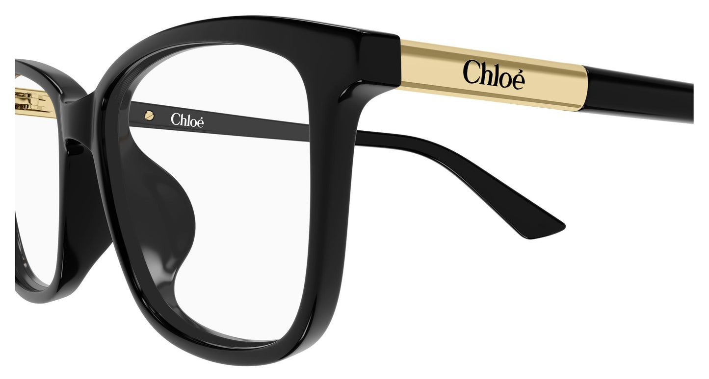 Chloé CH0371OA 001 55