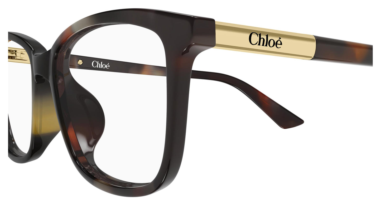 Chloé CH0371OA 002 55