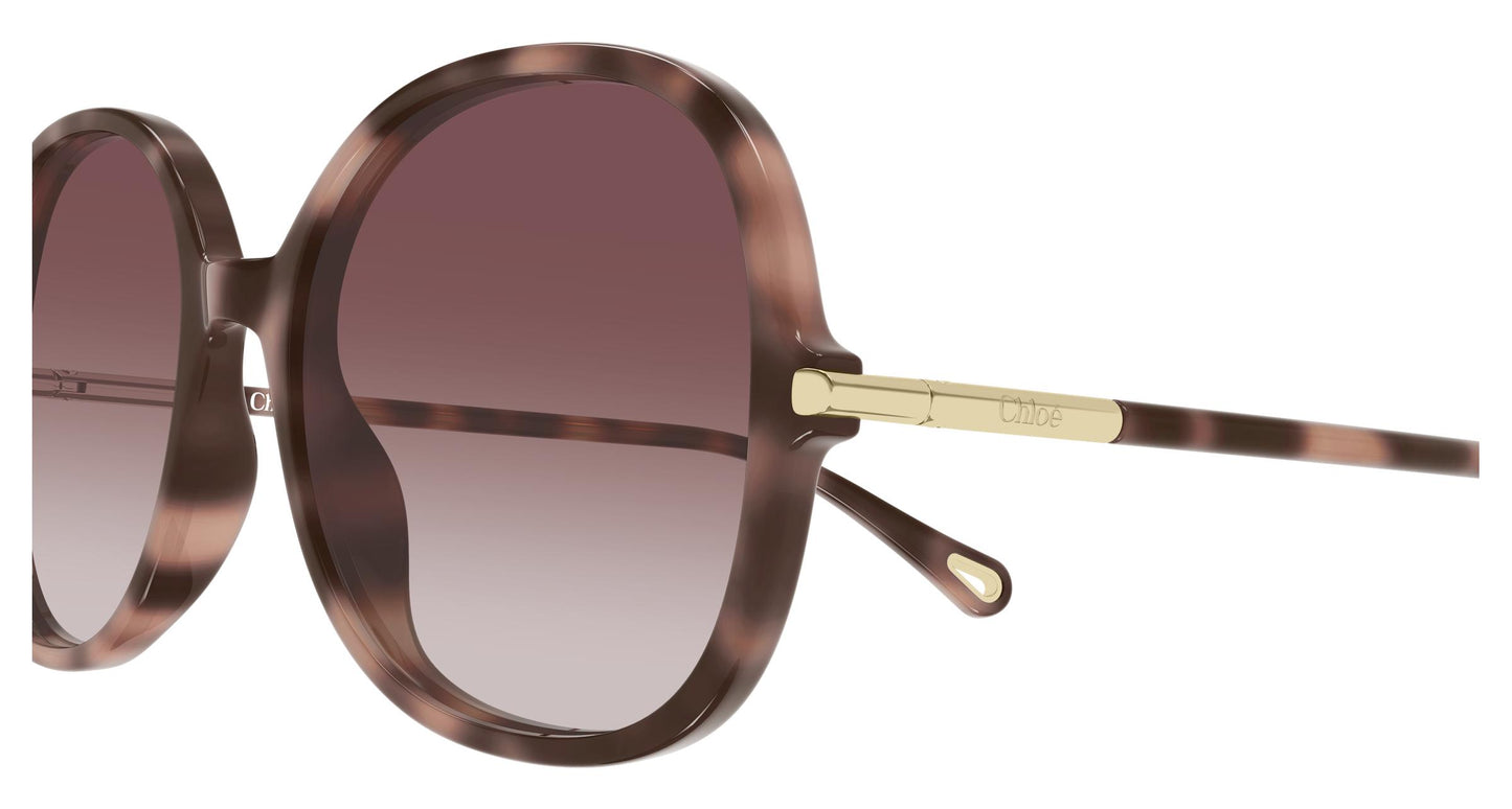 Chloé CH0383S 004 57