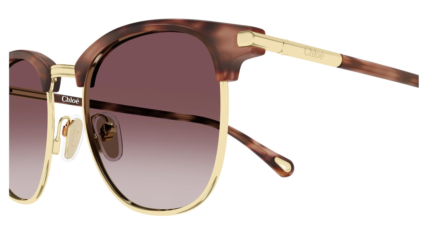 Chloé CH0384S 004 52