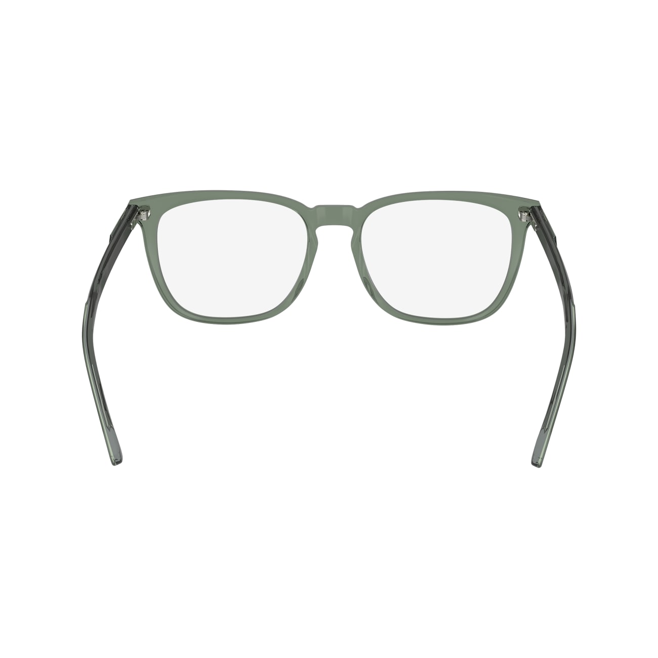 Calvin Klein CK24519 300 53