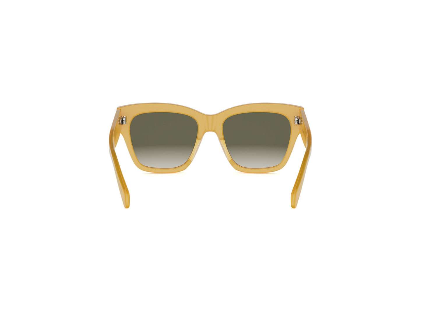 CELINE TRIOMPHE CL40253I 45B 55