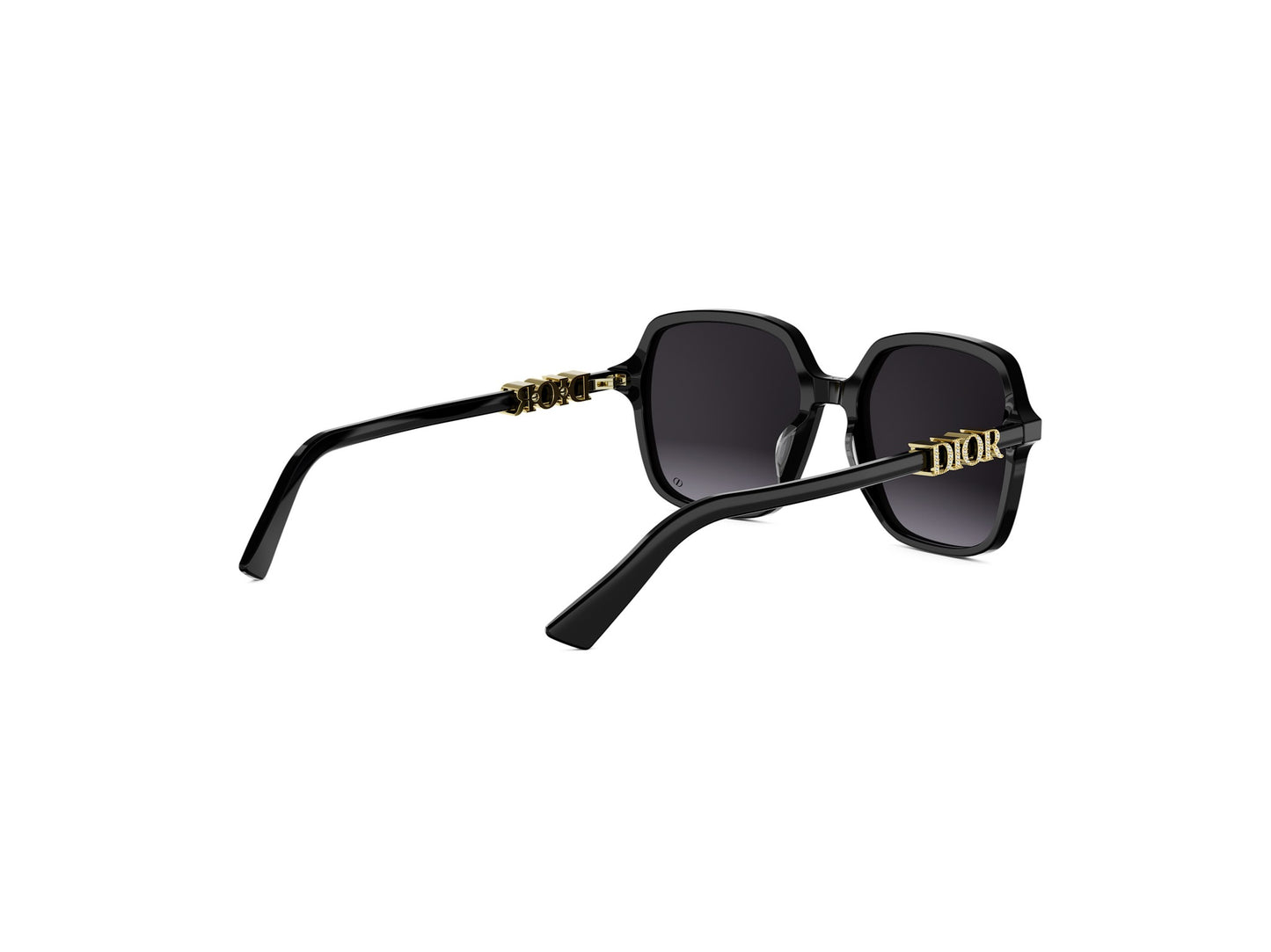 DIOR TREASURE CD40232I 01B 54