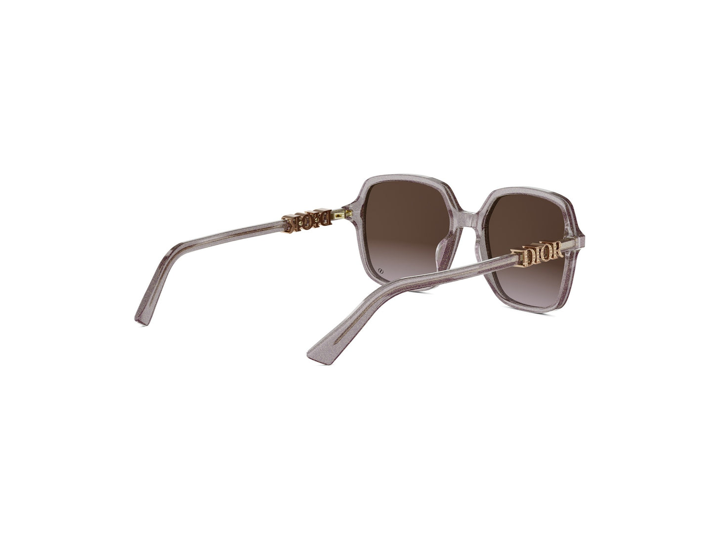 DIOR TREASURE CD40232I 20F 54