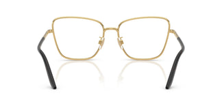 Dolce & Gabbana DG1359 02 57