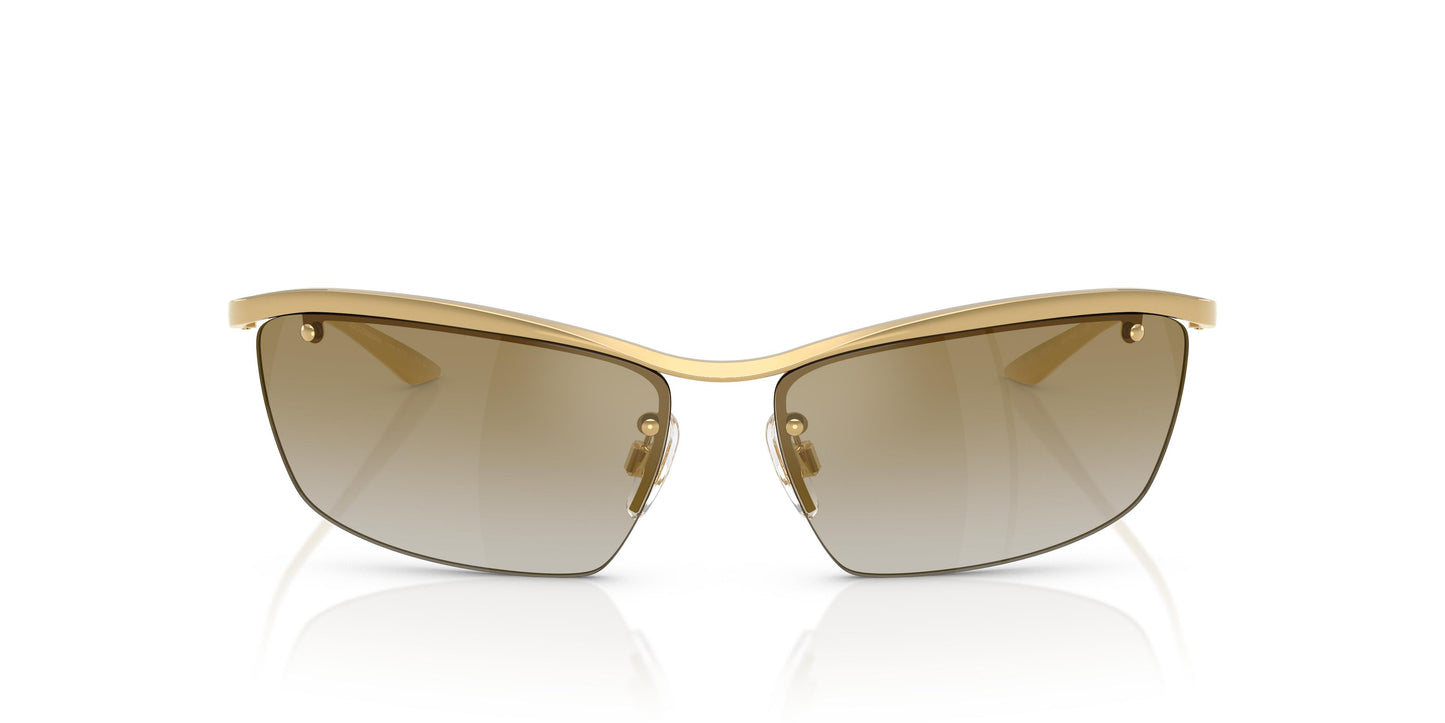 Dolce & Gabbana DG2307 02/6E 61