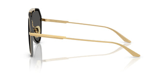 Dolce & Gabbana DG2309 02/87 0