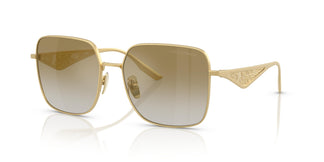 Dolce & Gabbana DG2310 12246E 57