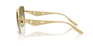 Dolce & Gabbana DG2310 12246E 57
