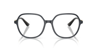 Dolce & Gabbana DG3364 3441 54