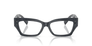 Dolce & Gabbana DG3387 3441 53