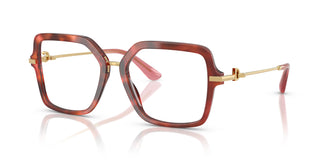 Dolce & Gabbana DG3396 3444 55