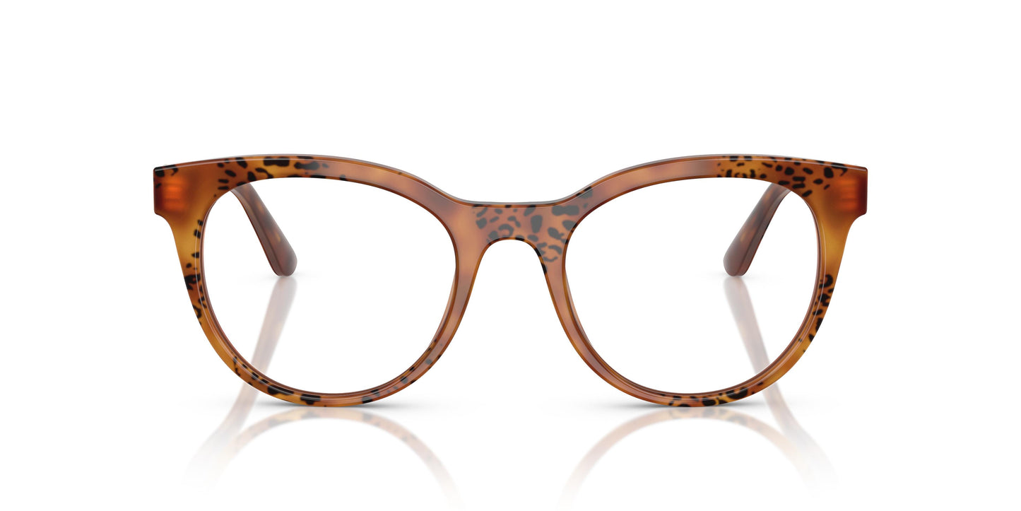 Dolce & Gabbana DG3399 3380 50