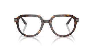 Dolce & Gabbana DG3402 502 50