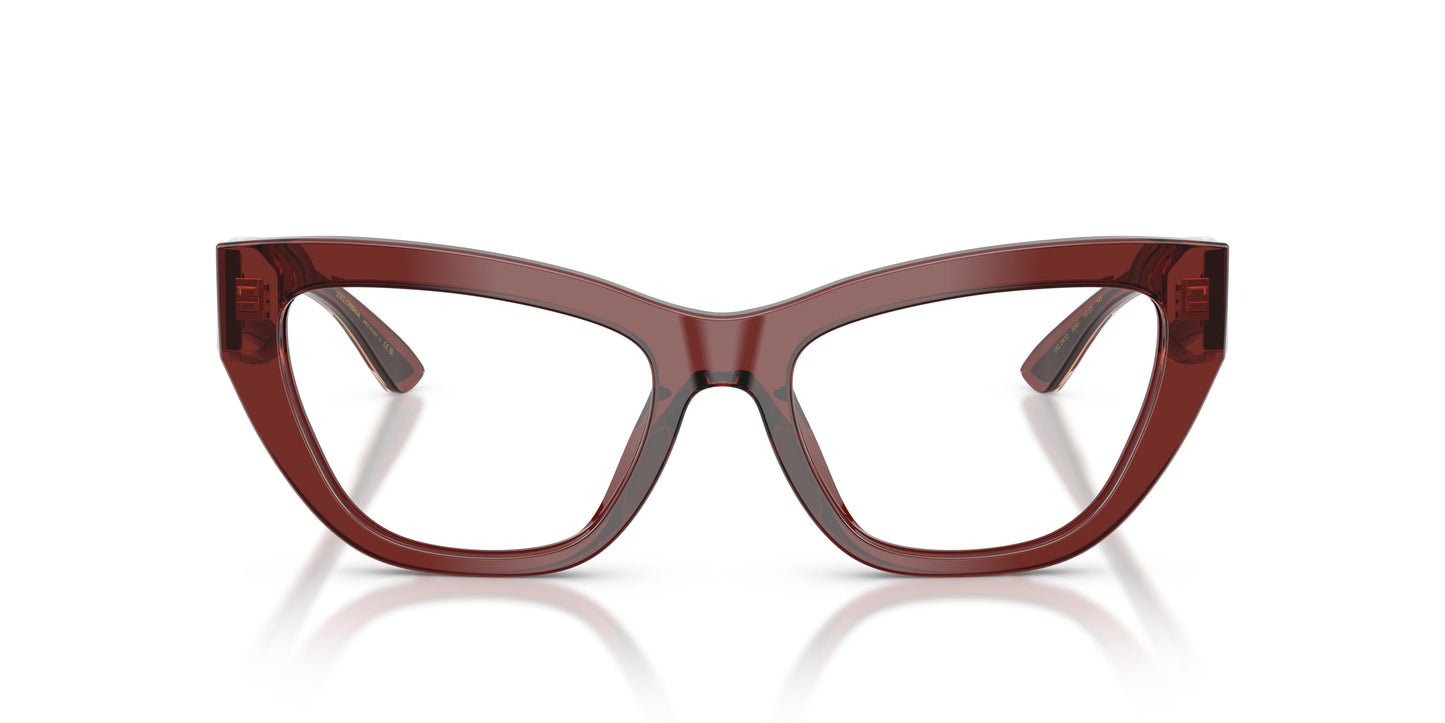 Dolce & Gabbana DG3412 3045 53