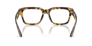 Dolce & Gabbana DG3416 3330 53