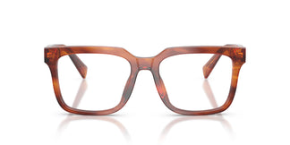 Dolce & Gabbana DG3422 3221 51