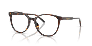 Dolce & Gabbana DG3425 502 54