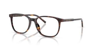 Dolce & Gabbana DG3426 502 53
