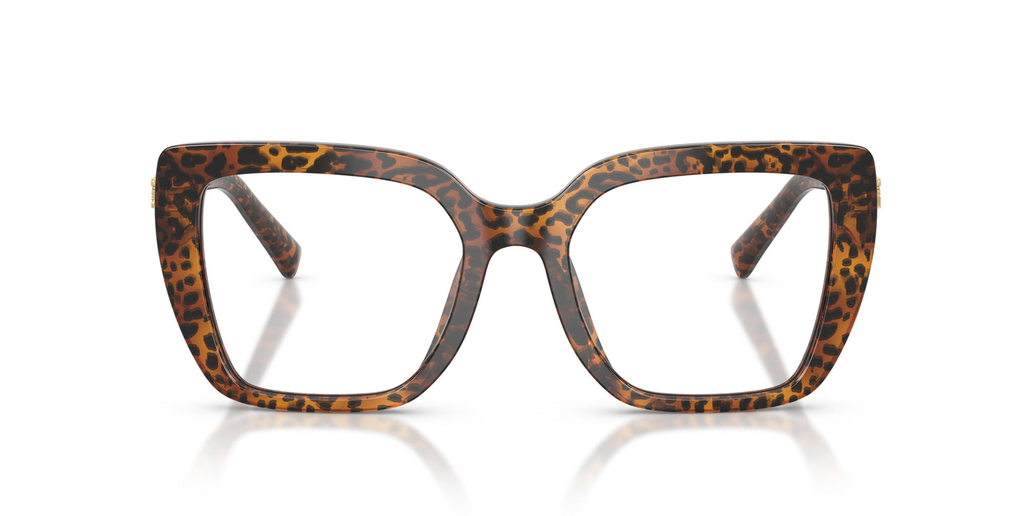 Dolce & Gabbana DG3441 3470 53