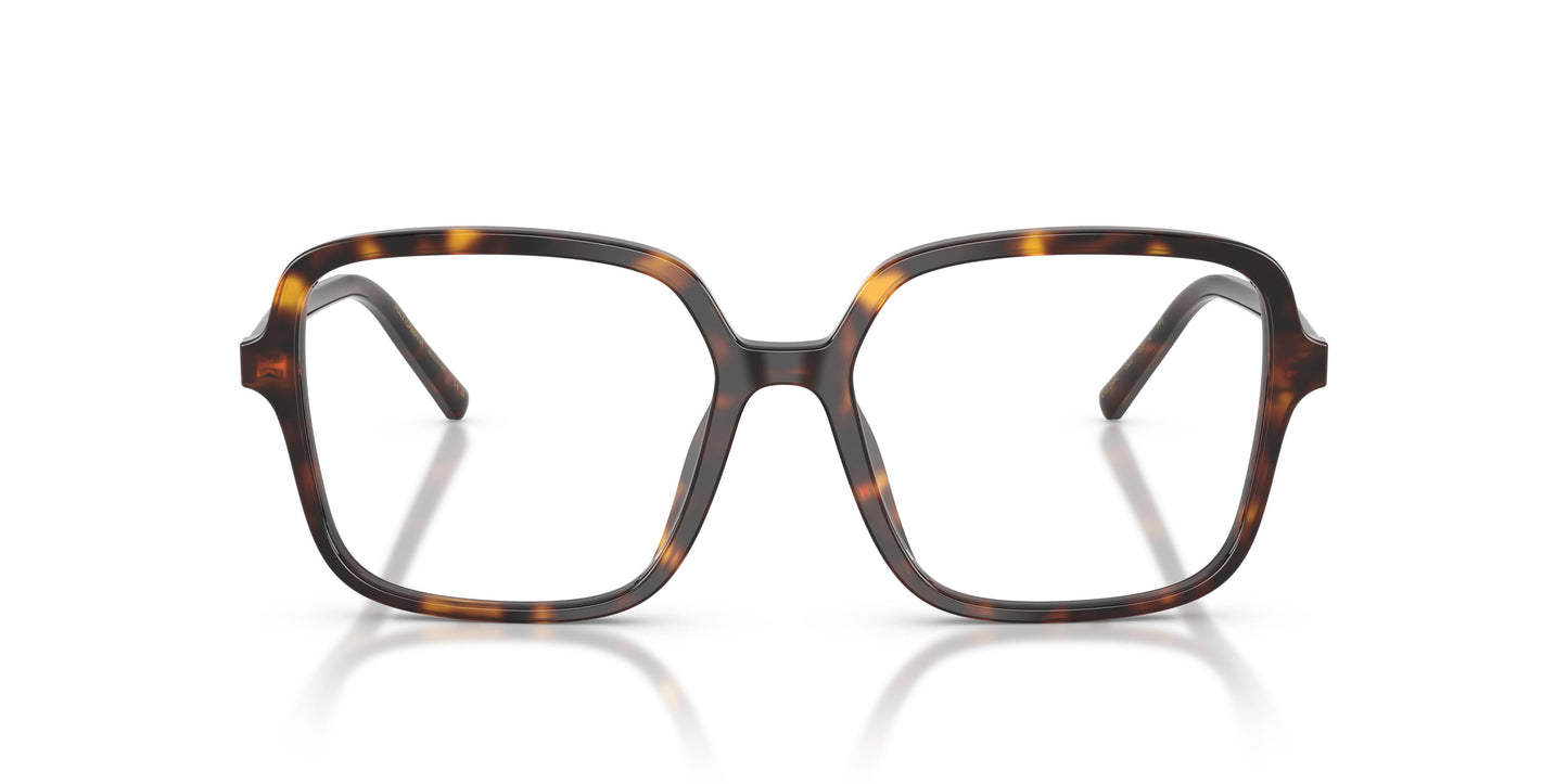 Dolce & Gabbana DG3442 502 55